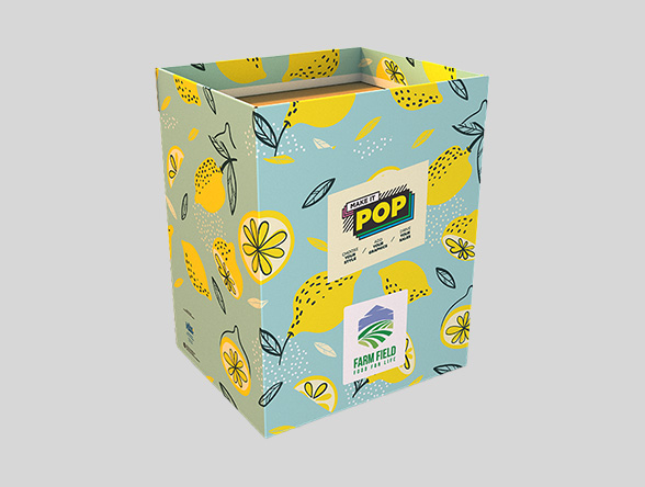 Retail Display Box Packaging